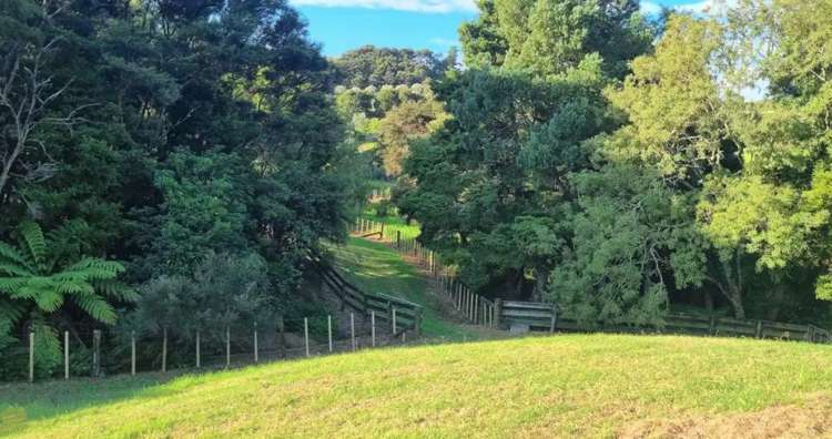42a Brooke Lane Mangawhai_14