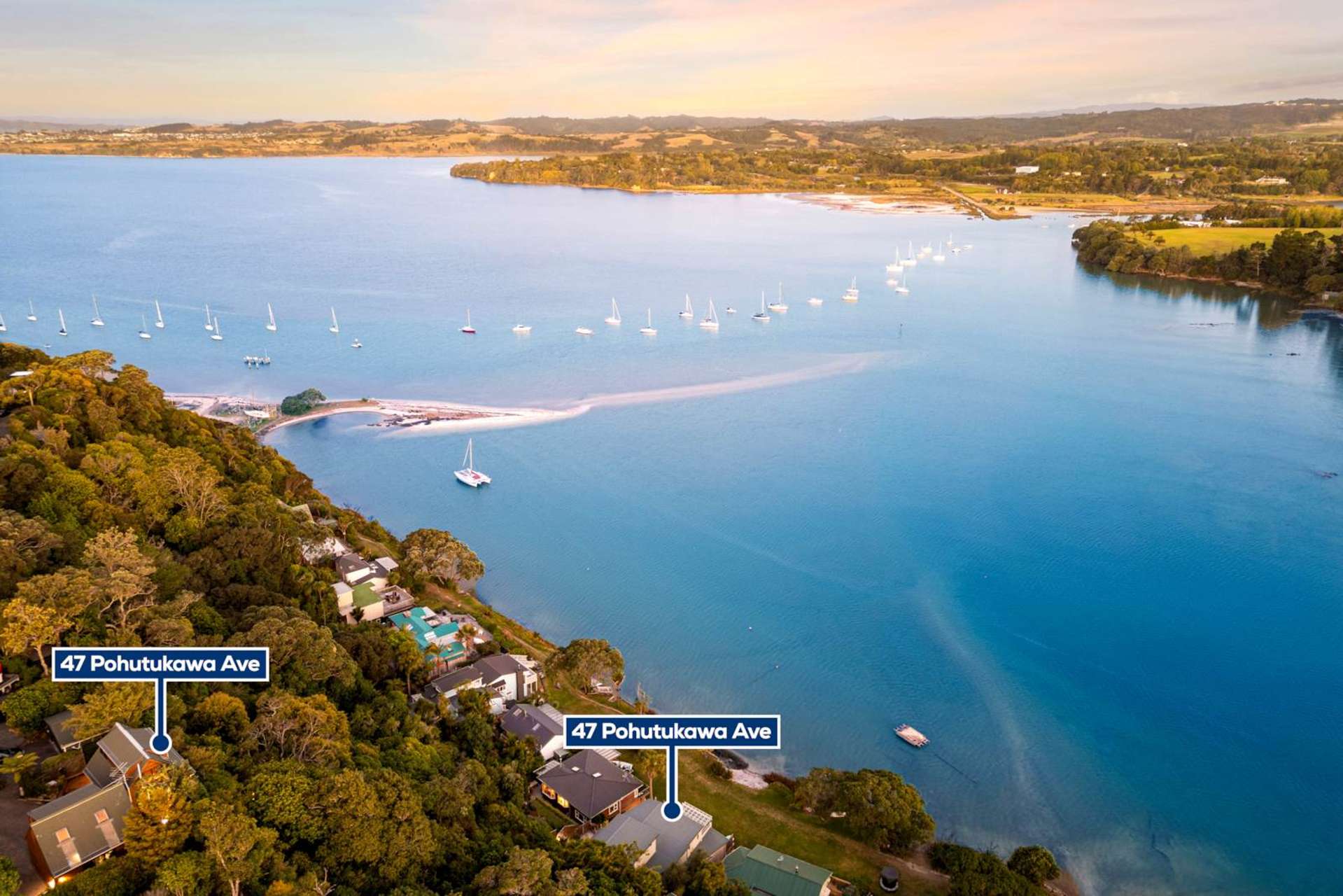 47 Pohutukawa Avenue Shelly Park_0