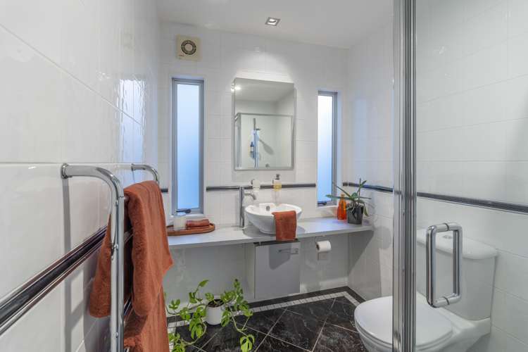 4 Dexter Avenue Mount Eden_12