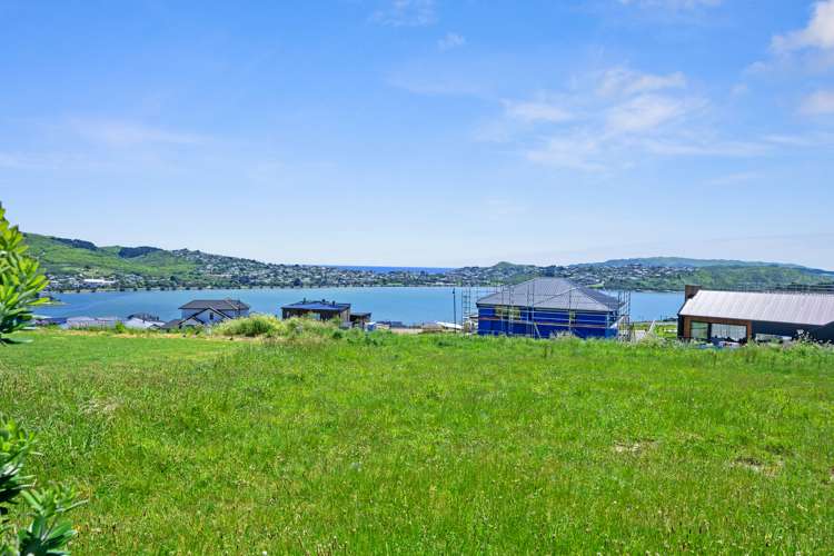 6 Okupe Grove Aotea_5