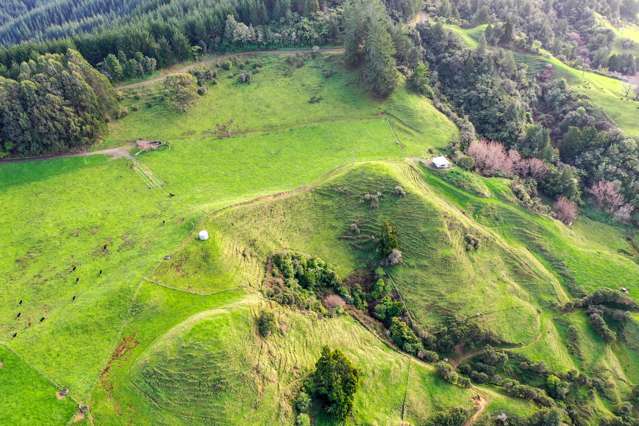 2/795 Stanley Road Whakatane_2