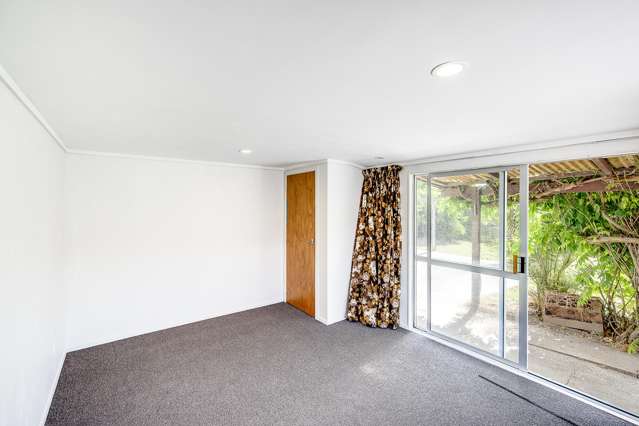 5 Plunket Street Tamatea_3