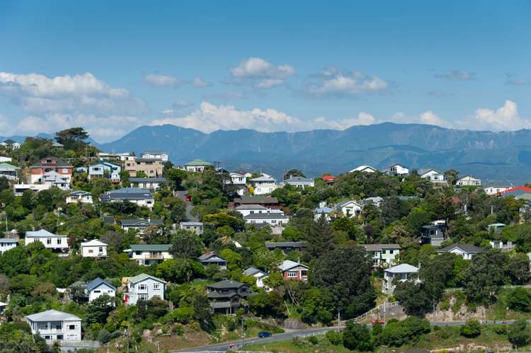 12 Atlanta Grove Brooklyn_15