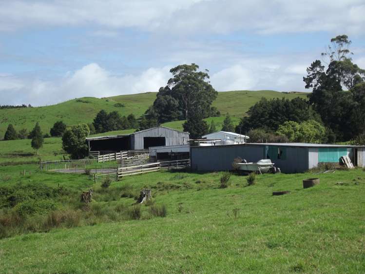 81 Ruapekapeka Road Towai_11