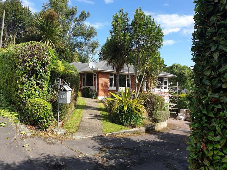 16 Craigleith Street North East Valley_11
