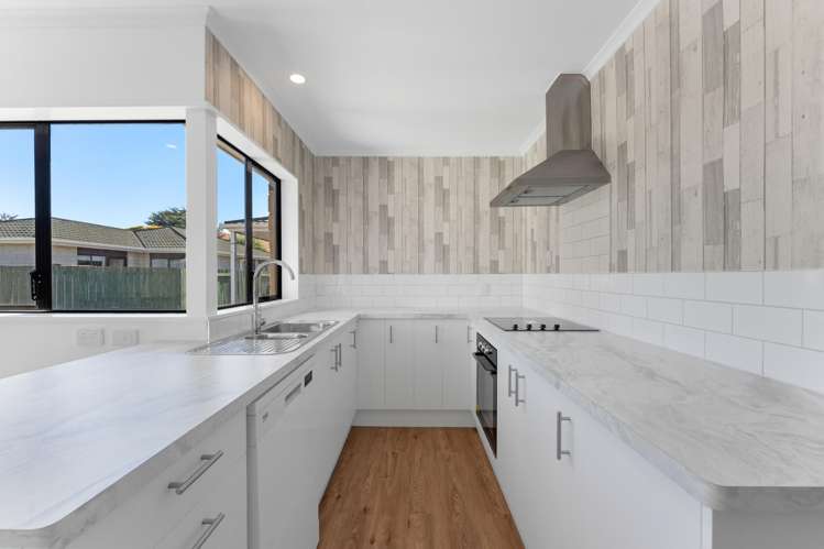 28a Freyberg Street Roslyn_7