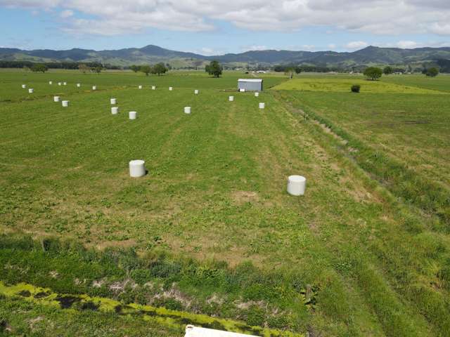 1262 Kaihere Road Ngatea_4