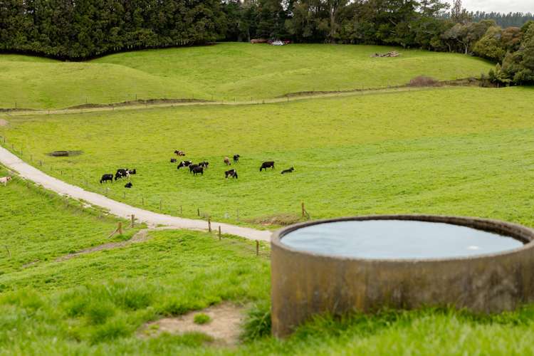 936 Pongakawa Bush Road Pongakawa_21