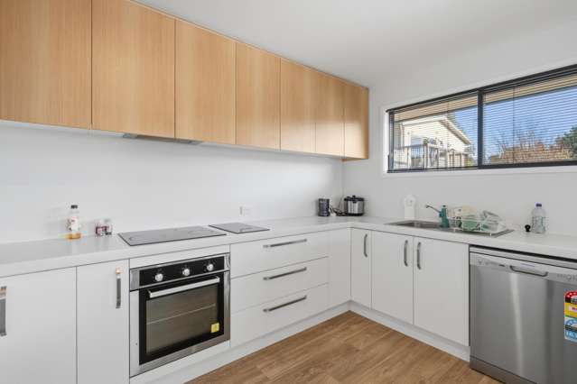 221/A-B Teviot Street Georgetown_1
