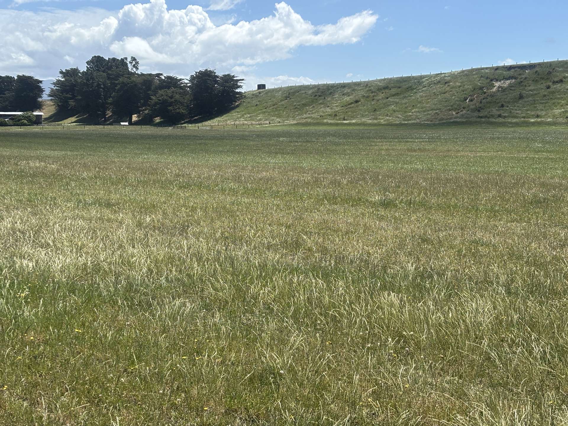 Lot 5 Hook School Road Makikihi_0