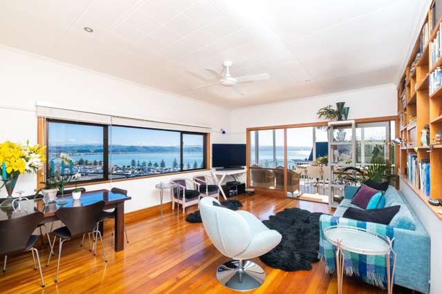 26a Roslyn Road Bluff Hill_4