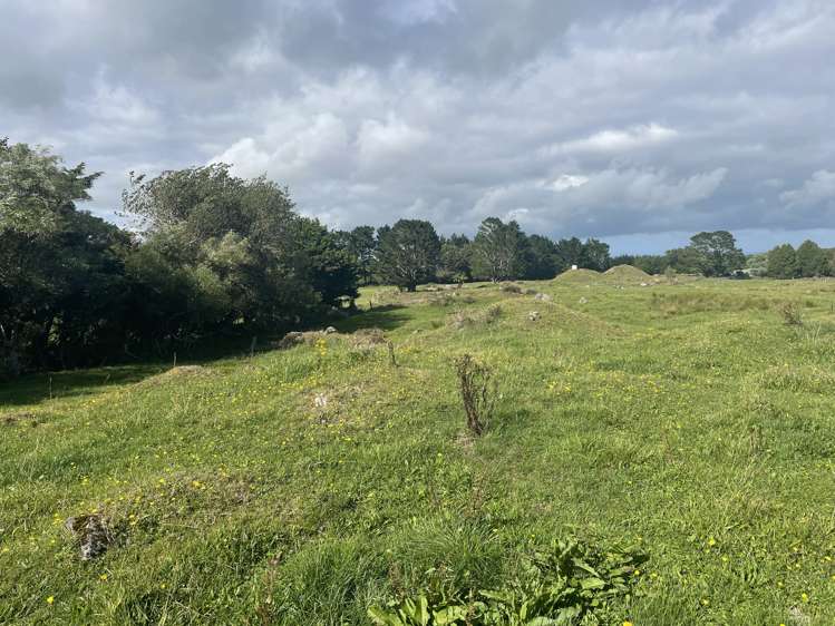 845 Kaweora Road Te Kiri_3