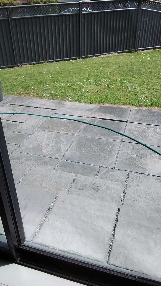 37 Scobie Road Waverley_2