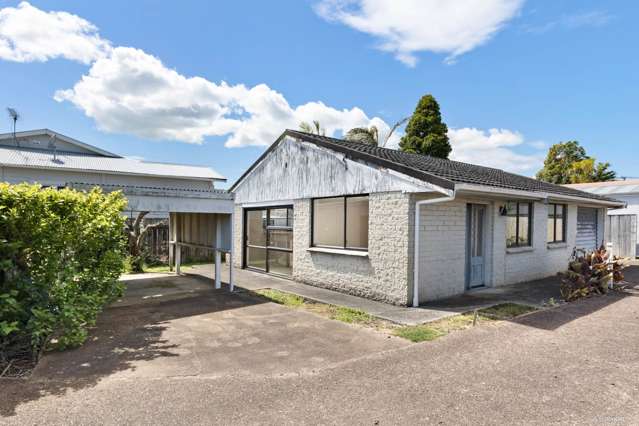 279a Meola Road Point Chevalier_1