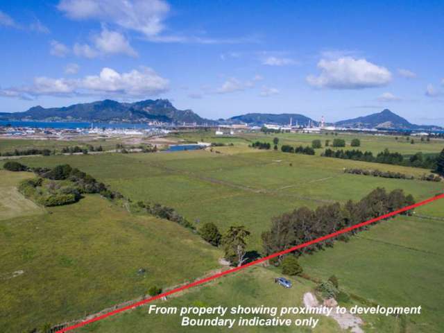 213 Pyle Road East Ruakaka_4