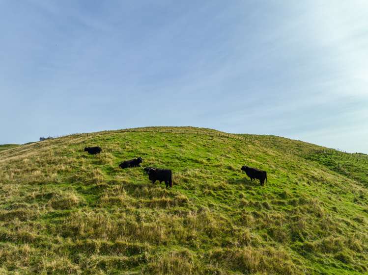 40 Grant Road Kinloch_19