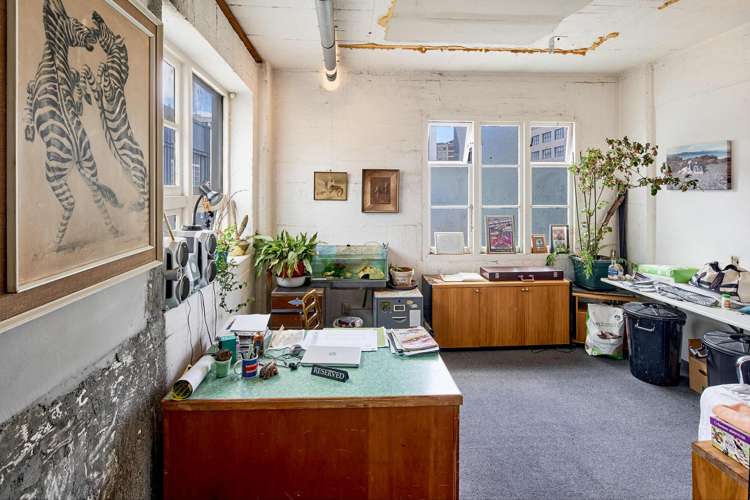 14 Holland Street Te Aro_14