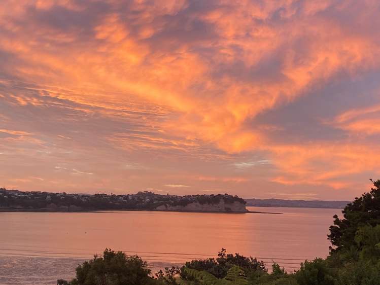 24B Tindalls Bay Road_2