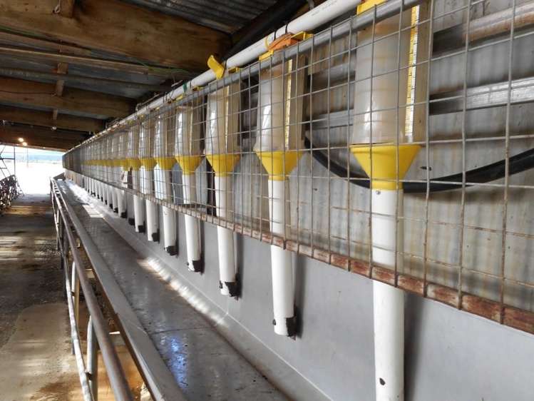 1730 Lake Brunner Road Inchbonnie_9