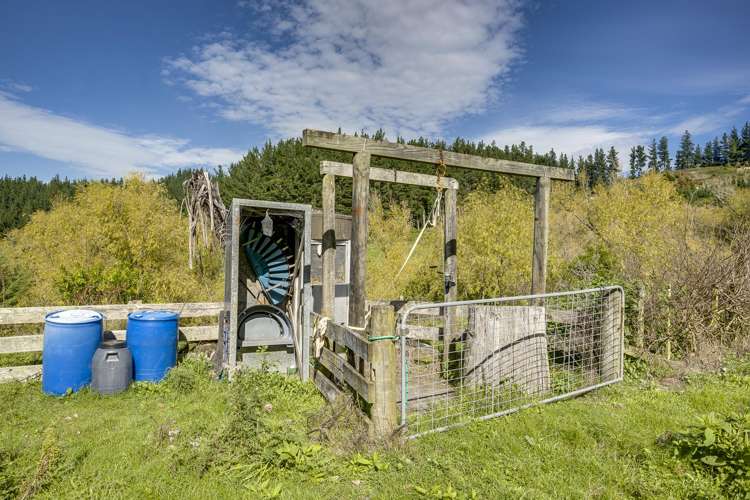 888 Kakariki Farm Road Kotemaori_32