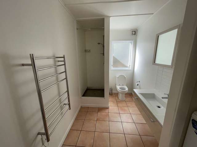 40B Crummer Road Grey Lynn_2
