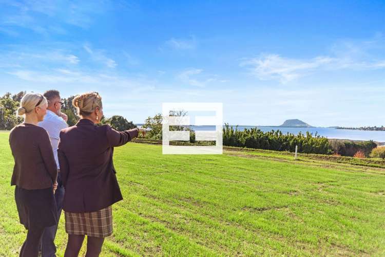 137 Lochhead Road Te Puna_0