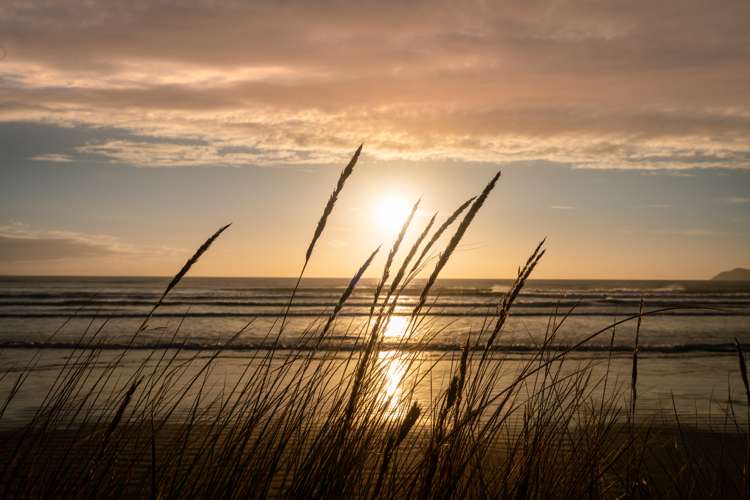 108 Wellington Road Paekakariki_45