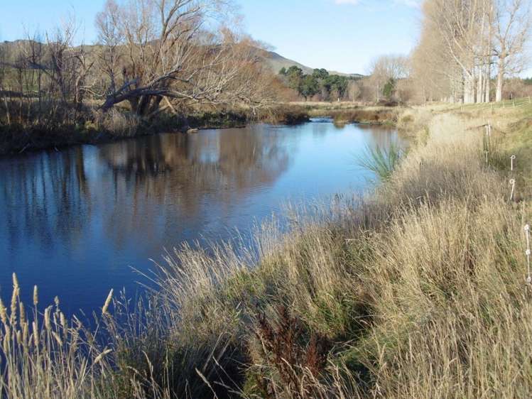 4 Murphy Street Palmerston_5