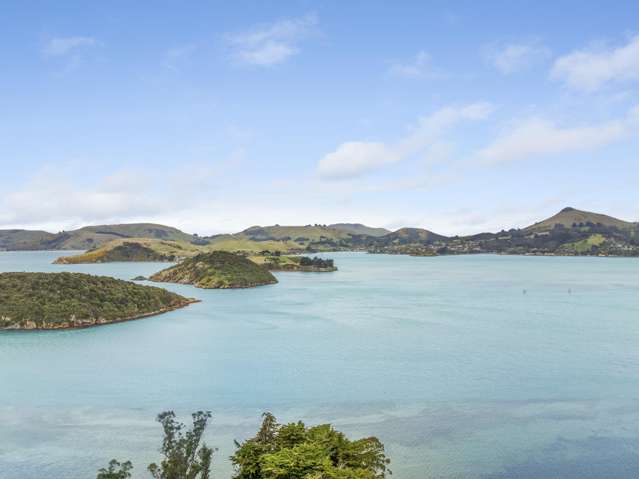 3 Fox Street Port Chalmers_3