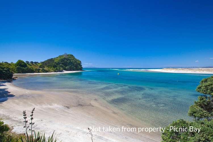 48 Driftwood Place Mangawhai Heads_19