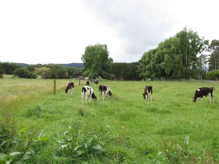 6 Fairview Place Levin_0