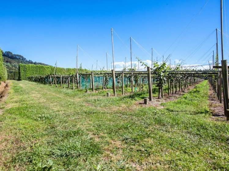 33 Burt Road Matata_20