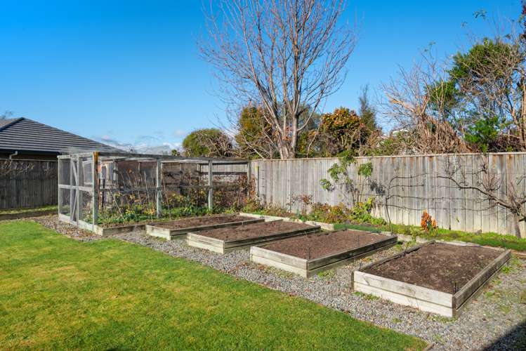 1 Leefield Street Blenheim Central_33
