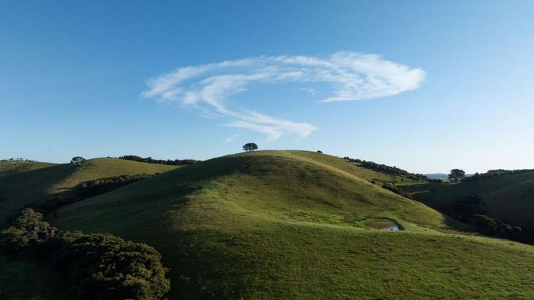 Address withheld Kerikeri_9