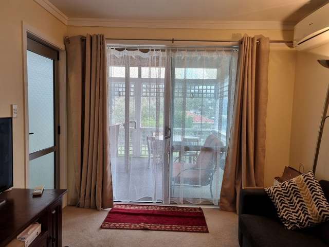 43B Triangle Road Massey_2