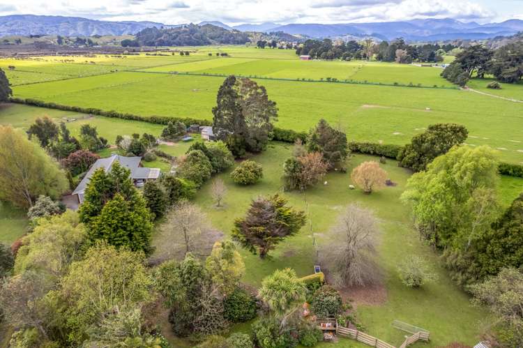 50b Katherine Mansfield Drive Whitemans Valley_18