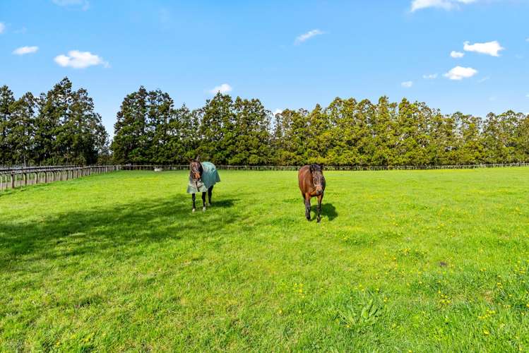 42 Dysart Lane Kumeu_33