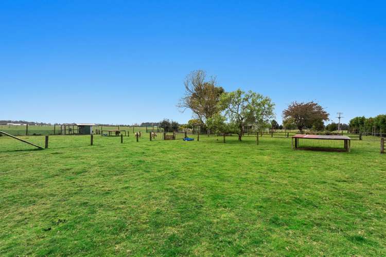 238b Hallett Road Otakiri_24