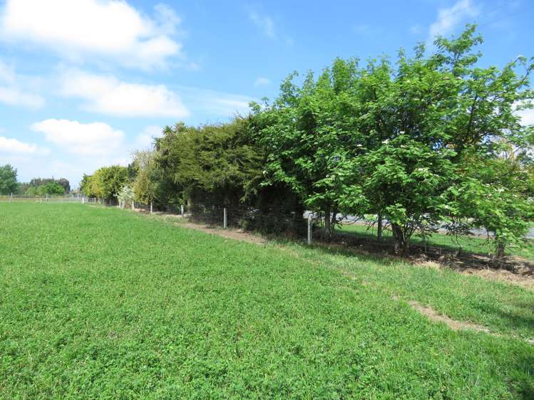 161 Wakanui Road Elgin_5