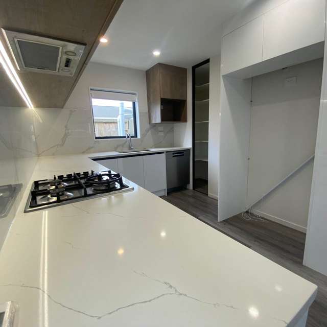 Lot 9/156 Coxhead Road Wattle Downs_2