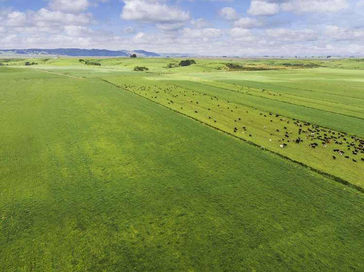 590e Koheroa Road Mangatawhiri_23