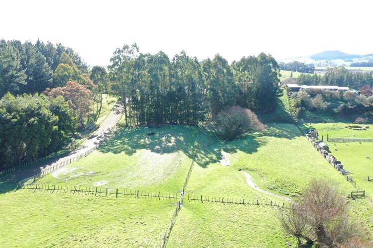 Lot 1and2 324 Homewood Road Waipawa_16