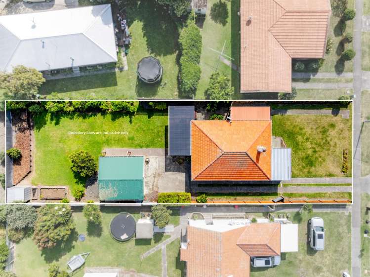 54 Douglas Mclean Avenue Marewa_22