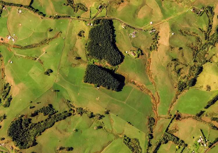 136 Valley Road Waitoki_12