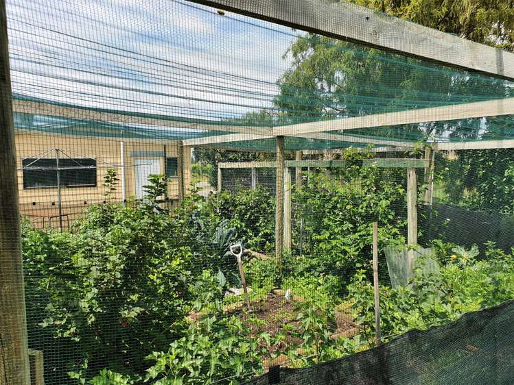 2061 Maraekakaho Road Central Hawkes Bay Coastal_10