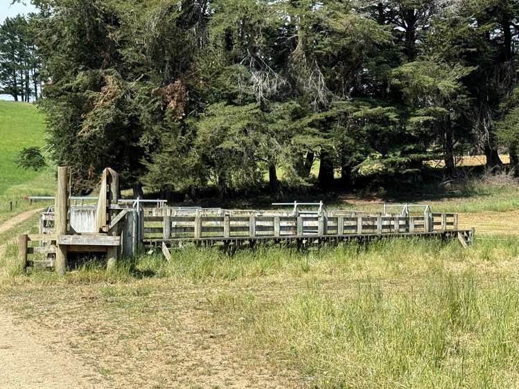 83 Norsewood Ormondville Road Norsewood_11