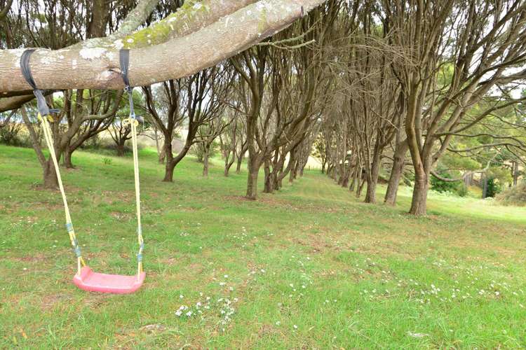 1044 Burma Road Tapora_16