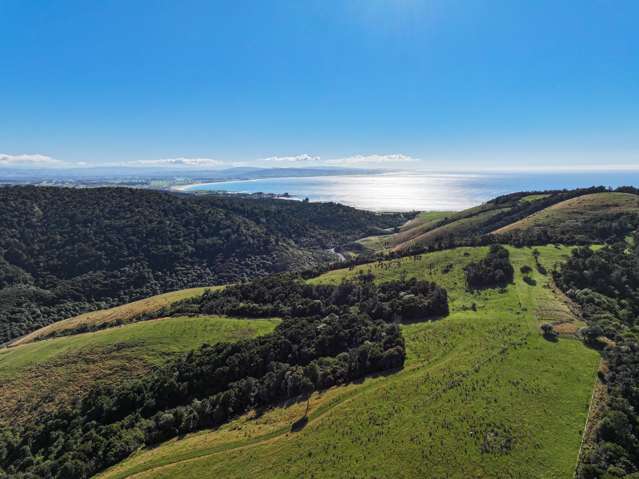 103 Randall Road Kaka Point_2