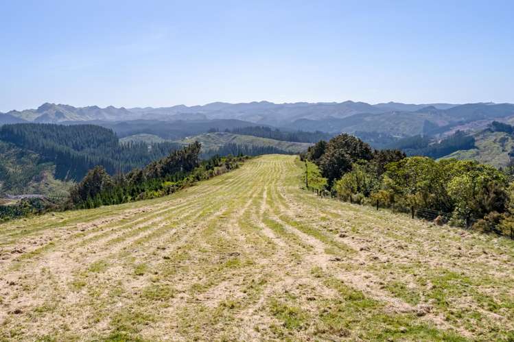 939 Kaiwhata Road Te Wharau_26