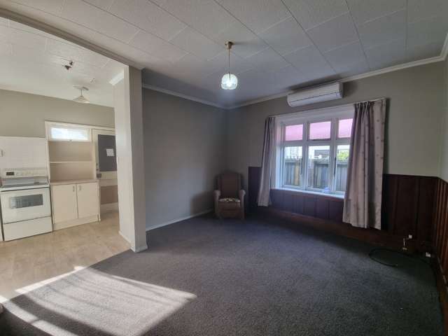236 Selwyn Street Spreydon_2
